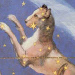 Constelação de Cão maior mitologia grega
